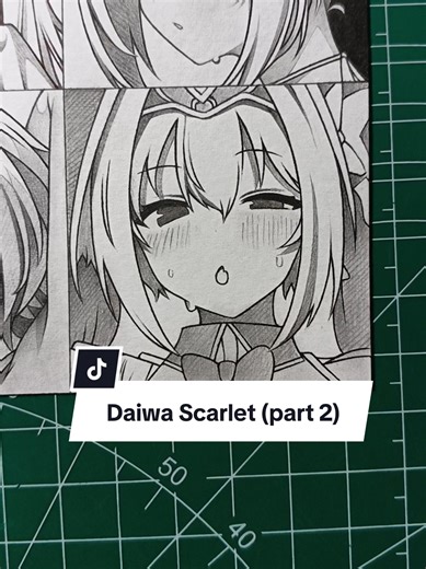Daiwa Scarlet Drawing - Part 2