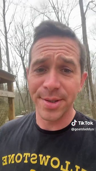 Effective Hay Feeding Techniques for Goats