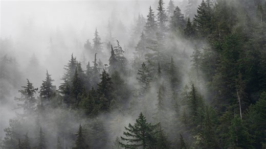 Nevada’s fall pattern turns active: Rain up north, breezy cooldown in the south