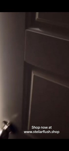 StellarFlush on TikTok