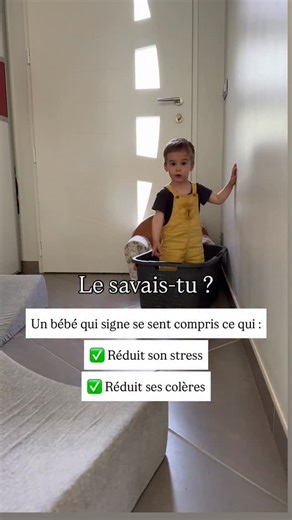As tu reconnu le signe ? Un bébé signe entre 9 et 12 mois, ce qui lui permet d’exprimer ses besoins très tôt pour se faire comprendre ! Bébé est compris ce qui diminue ses frustrations et celles de toute sa famille ☀️ Pour te lancer dans les signes avec ton bébé, commente « CARTES » et je t’envoie mes cartes signes ♥️🐣 (Solan signe « 💩 » depuis ses 15 mois pour nous prévenir lorsqu’il souhaite aller sur le pot) #bebesigne #signeravecbebe #potbebe | Lyla Signes - Ma Page