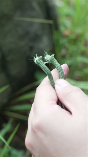 🔪 NexTool New Arrival: E20 Blade Multitool! #edc #multitool #giftideas