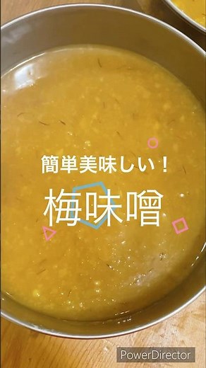 梅味噌の作り方 #梅 #簡単レシピ #発酵#料理#梅仕事