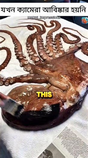 Aboriginal techniques of making an art using whole Animal #art #pranicharge