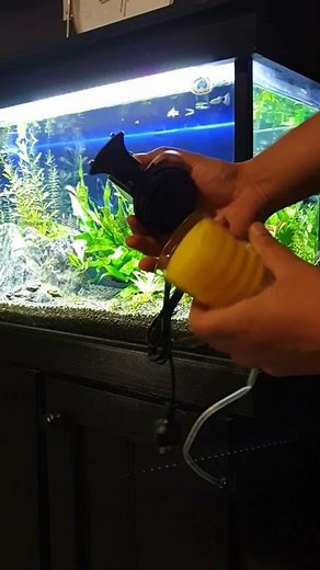 Aquarium Filter Setup