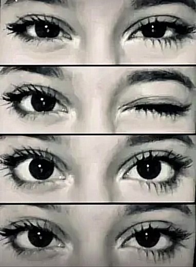 Minecraft Unstable SMP: The Intro Edit