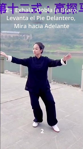 Paso 12 de 24, Yang Tai Chi con instrucciones detalladas