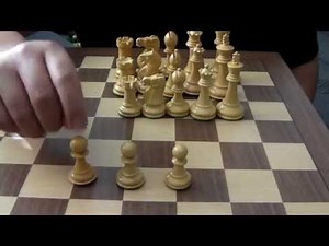 Chess Sets -- A Comparison Review