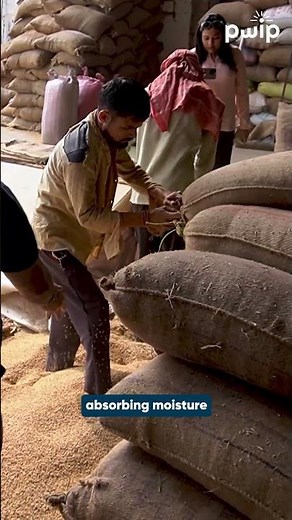 Gondia Series: Rice Milling Process Explained | Part 1