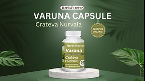 Herbsforever Varuna Nurvala Extract Capsules - Vegan & Gluten Free | Plant Based Supplement for Bladder & Kidney Function, 800 mg per Capsules (60 Nos)