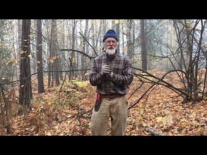 Sarsaparilla - How to Harvest with Michael Pilarski "Skeeter"