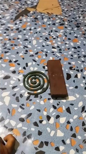 Angry cows eat grass