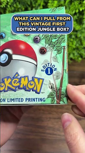 Opening A Vintage First Edition Jungle Pack #pokemon #pokemontcg #collectors