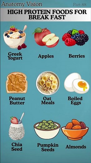 Powerful High Protein Breakfasts That Keep You Full for Hours