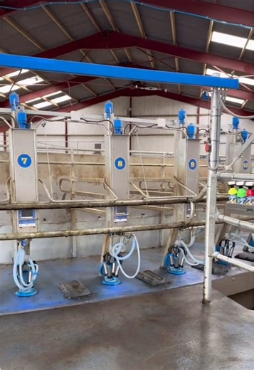 Stainless Steel Upgrade -Simple add-ons that make a big difference on farm. We’ve fitted a range of our stainless steel solutions on this farm to boost efficiency and keep things tidy. Explore the full stainless steel range here: www.grasstecshop.com #farmingtiktok #dairyfarm #farming #dairyfarming