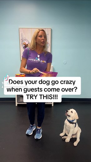 Lucky Dog Training Club on Reels