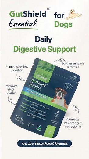 GutShield Essential - Dog Probiotic Supplement Australia - Vetanica