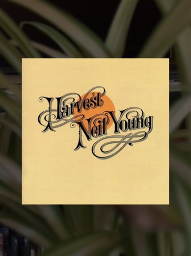 Neil Young -