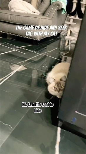 We love this game and that’s why my page is filled with it 🤪