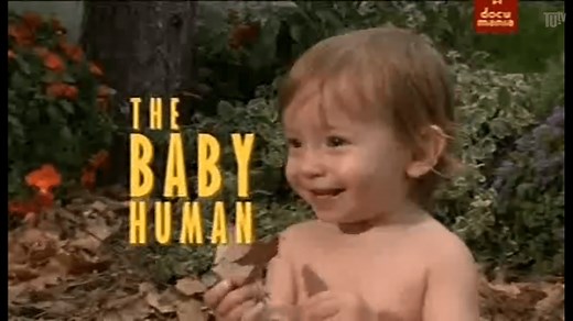 La serie completa de Baby Human en Español