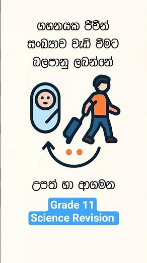 Grade 11 Science Revision 📝