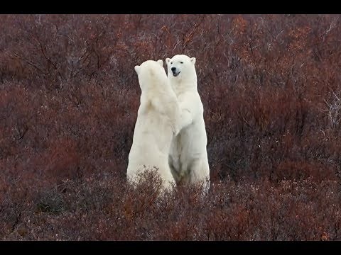 Manitoba: Lonely Planet 2019 Best in Travel