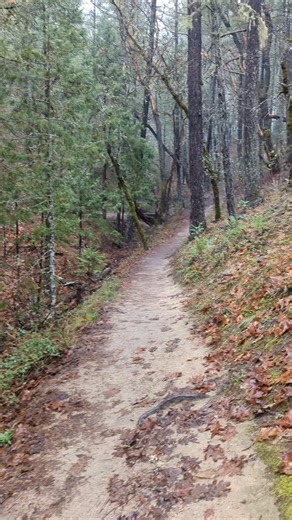 Steph on Instagram: "🥾 52 weeks. 52 hikes. One incredible year ahead. This year, I'm committing to the 52 Hike Challenge – one hike every week, no matter the season or weather. It's time to trade screen time for trail time, and reconnect with the world outside my door. Whether it's a summit at sunrise, a forest loop after work, or a snowy trek in February, I'm showing up for myself and for nature. Here's to more fresh air, stronger legs, clearer minds, and a year spent truly *living* outdoors. 