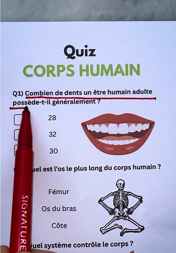 Quiz sur le Corps Humain : Testez vos Connaissances