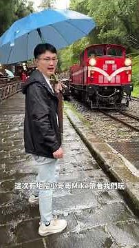 第一次玩阿里山必看！搭上彷彿置身於童話世界的森林小火車🚂