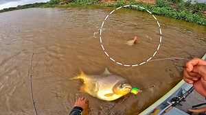 Quando a chuva vem do Sul pode sair do rio que o negócio é feio. Pegamos muito peixe #pescar #pesca #fishing #pescaria | Wellington Pesca
