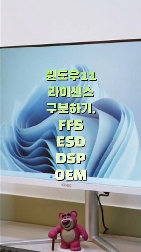 윈도우11 정품 라이센스 FFS/ESD/DSP/OEM 구분