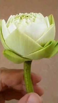 พับดอกบัว แบบง่าย #ideas #diy #diyง่ายนิดเดียว