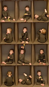 The Cardboard Box Trend in Zipster Toffee 🤎 #zipsterbaby #cardboardbox #toffee #cutebaby #babyphotoshoot | Zipster