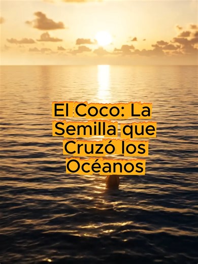 El coco: la semilla que cruzó los océanos. 🥥🌊 El coco es literalmente una semilla diseñada para sobrevivir al océano. 💧 almacena agua 🛡 tiene una cáscara ultra resistente 🌴 puede germinar después de viajar por mar La naturaleza hizo ingeniería perfecta. 🤯 #Coco #Coconut #TikTokScience #Naturaleza #Ciencia #Curiosidades #Biología #Océano #Documental #Tropical #Educativo #lacienciadeloquecomes @lacienciadeloquecomes