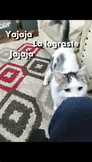 bingbon fue un éxito 🙌