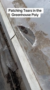 2.8K views · 83 reactions | Patching up some holes in the greenhouse plastic as a temporary fix until summer when the poly is replaced. Greenhouse maintenance is a near constant chore to keep everything in working order. #greenhouselife #greenhouse #smallbusiness #repair | Sharkey's Greenhouses | Facebook