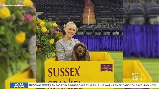 Ennis teen and her dog take on Westminster | Haystack News