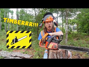 Handyman Hal cuts down a Tree with a Chainsaw | Awesome Tools for Kids