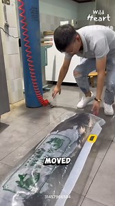 2.3M views · 24K reactions | How Big Fish Travel #fblifestyle #aquaculture #livefish #fishtransport #fishfarming | Wild Heart | Facebook