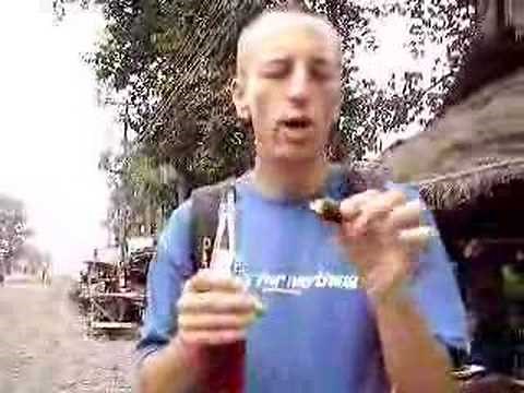 Eating Giant Chinese Cockroach! Gross Thai Food Delicacy