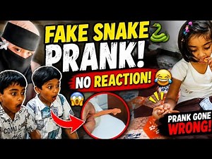 Fake Snake Prank Gone Wrong 😂 / No Reaction 🥲