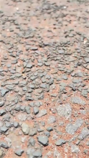 Makuliwe: Celebrating Unity and Vibrance