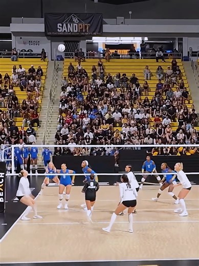 UCLA vs LBSU Volleyball Match Highlights