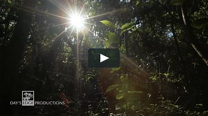 Review: Cognisys Stackshot 3x Slider