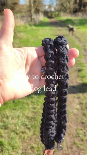 Complete Guide to Crocheting a Dog Lead