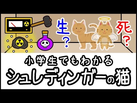 Pythonで量子アルゴリズムを実装してみた