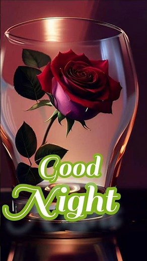 Best Good Night WhatsApp Status