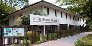 Tokyo's Secret Forest - Minato, Tokyo