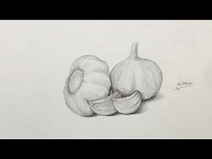 رسم ثوم قلم رصاص H فقط Drawing garlic