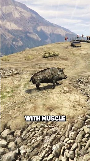 Secret Peyote Plant Location in GTA 5!